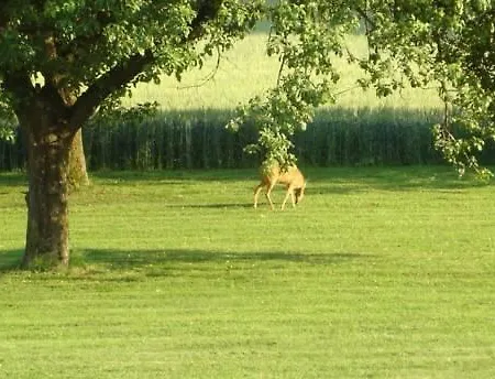 Lugerfarm Szálloda 3*