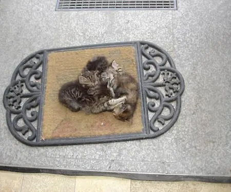 Szálloda Lugerfarm Melk